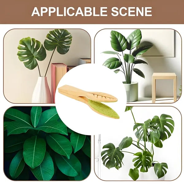 Indoor Wooden Leaf Cleaning Brush Plant Care Tool