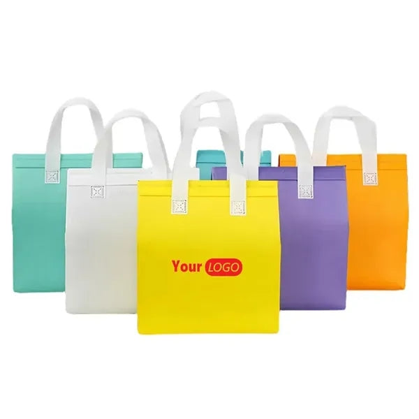 Disposable Insulated Take-away Bag