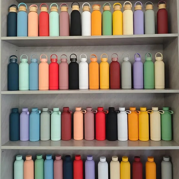 25oz Stainless Steel Travel Insulated Bottle