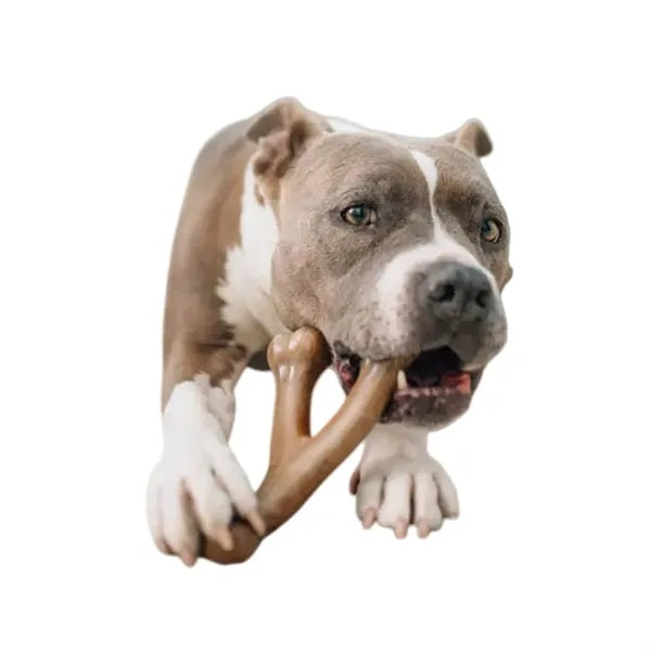 Bone Shape Dog Chew Toy
