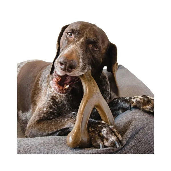 Bone Shape Dog Chew Toy