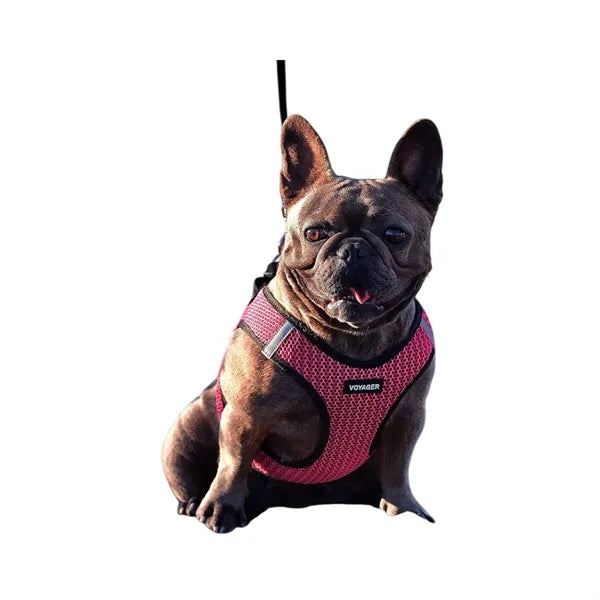 Reflective Safety Dog Harness