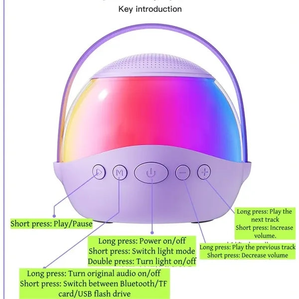 Bluetooth Karaoke Speaker with 2 Wireless Microphones