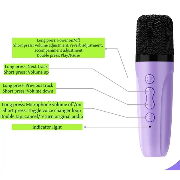 Bluetooth Karaoke Speaker with 2 Wireless Microphones