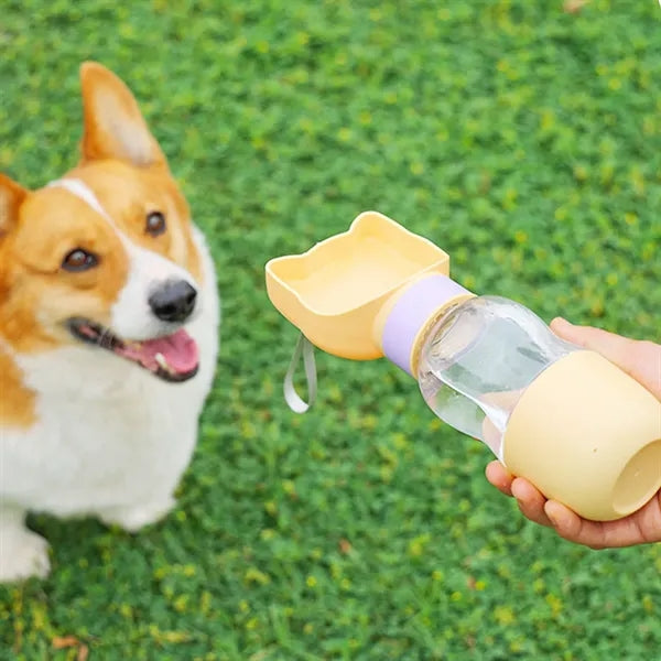 Pet Outdoor Water And Food Bowl