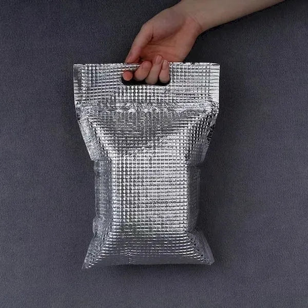 Disposable Cooler Bags with Zip Lock & Handle