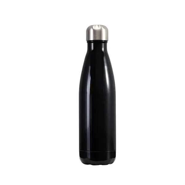 17oz Stainless Steel Water Bottle - Smooth Spray Painting