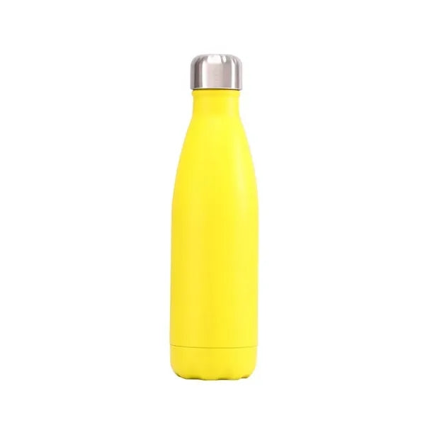 17oz Stainless Steel Water Bottle - Smooth Spray Painting