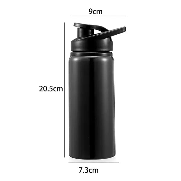 20 oz. Stainless Steel Sports Bottle with Straw Lid