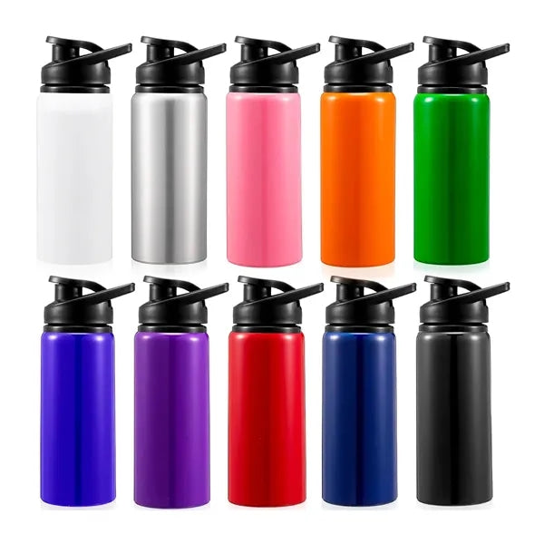 20 oz. Stainless Steel Sports Bottle with Straw Lid