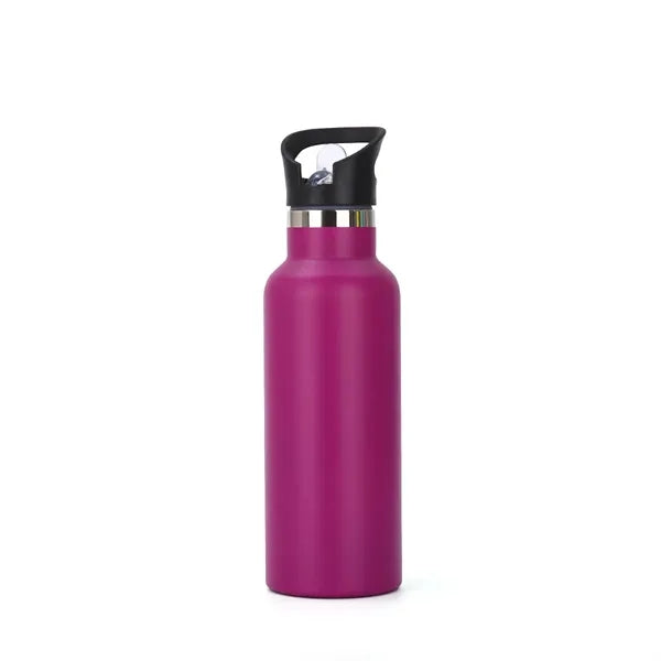 17oz Stainless Steel Water Bottle