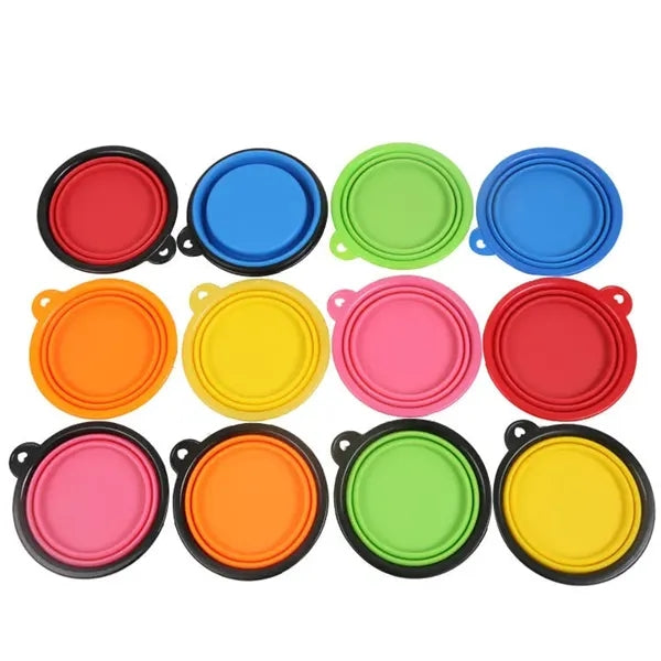 TPE Folding Pet Bowl with Carabiner Hook