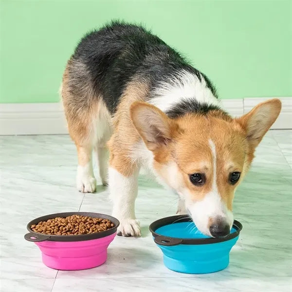 TPE Folding Pet Bowl with Carabiner Hook
