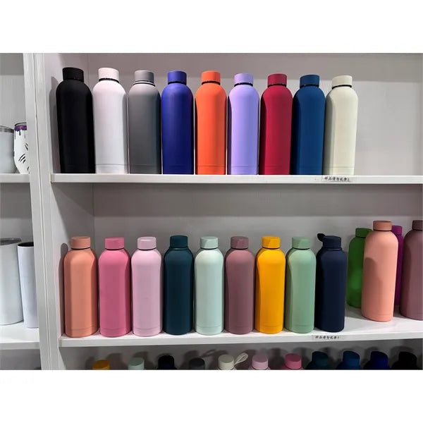 17oz Blair Stainless Steel Bottle with Silicone Lid