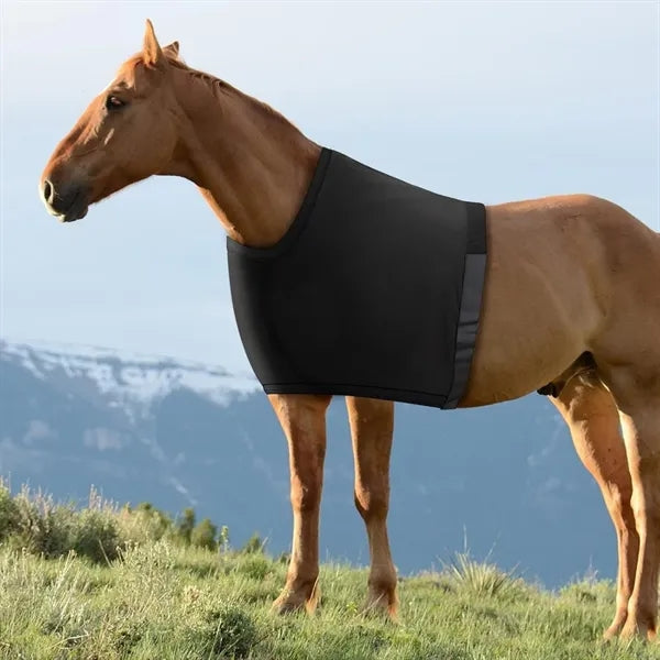 Stretch Horse Protective Vest for Riding Care