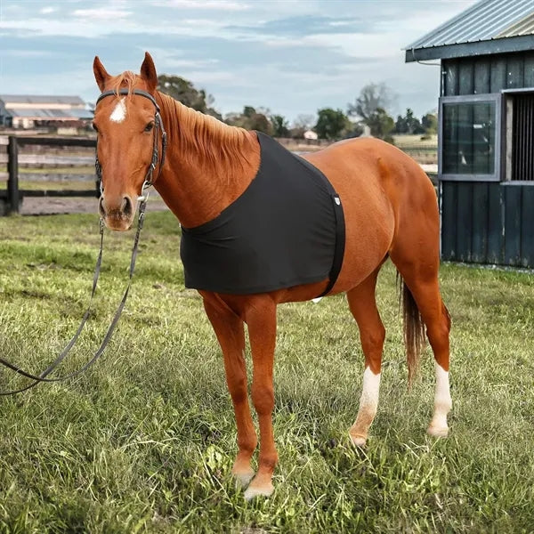 Stretch Horse Protective Vest for Riding Care