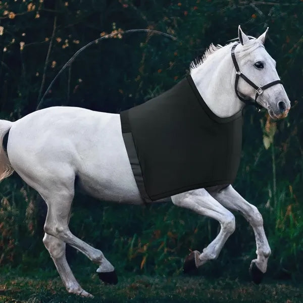 Stretch Horse Protective Vest for Riding Care