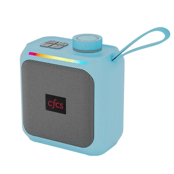 Outdoor Speakers with Handle, Supports TF Card
