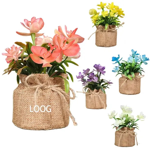 Home Potted Decoration