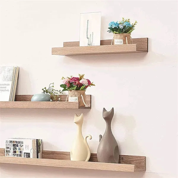 Home Potted Decoration