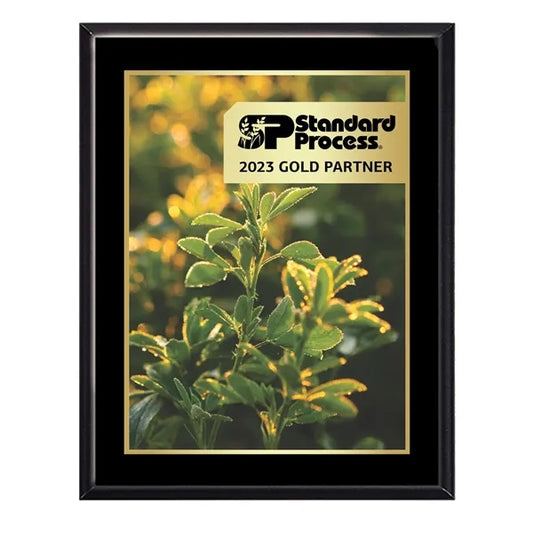 10.5" x 13" Black Matte Sublimated Plaque and Back Plate