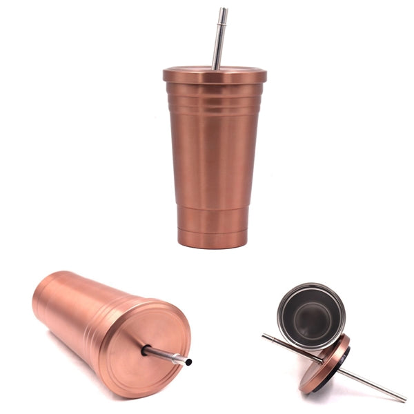 17oz. Stainless Steel Water Bottle with Straw