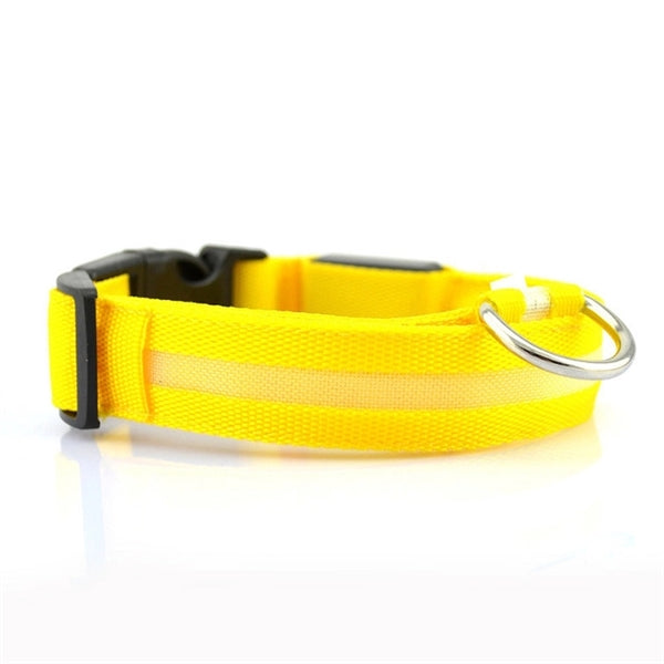 Outdoor Led Dog Collar