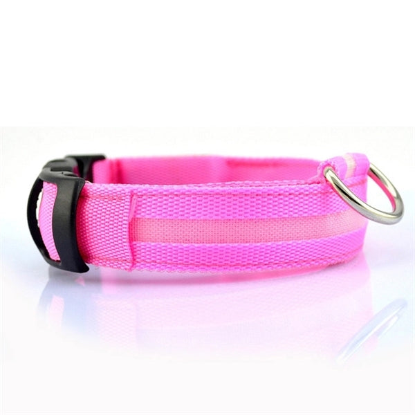 Outdoor Led Dog Collar