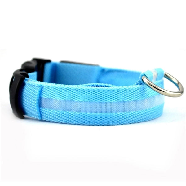 Outdoor Led Dog Collar