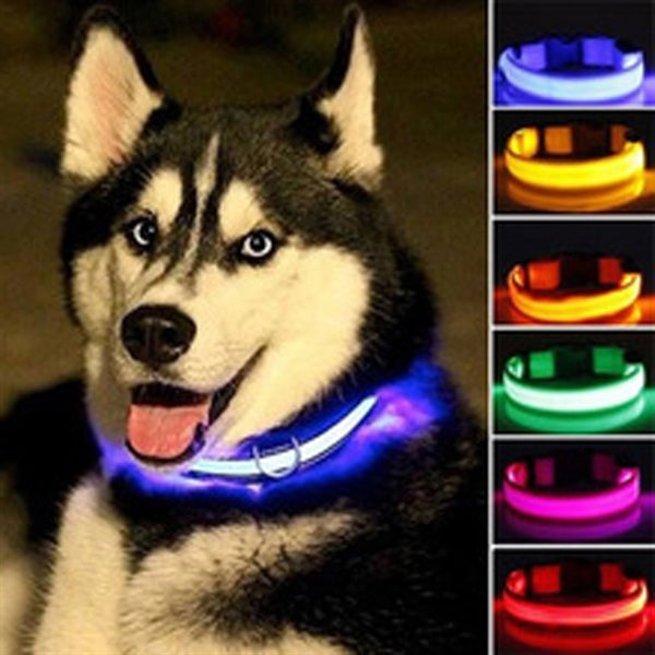 Outdoor Led Dog Collar