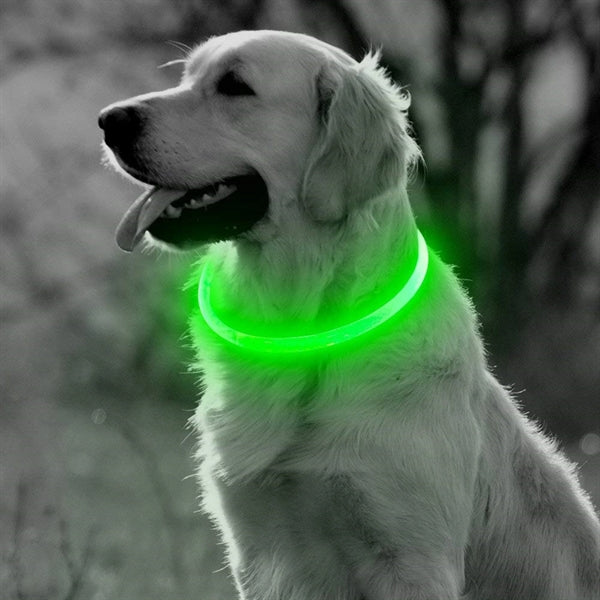 USB Rechargeable Pet Collar