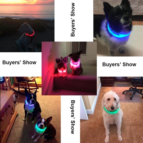 USB Rechargeable Pet Collar