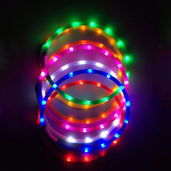 Puppy LED Collar Leash
