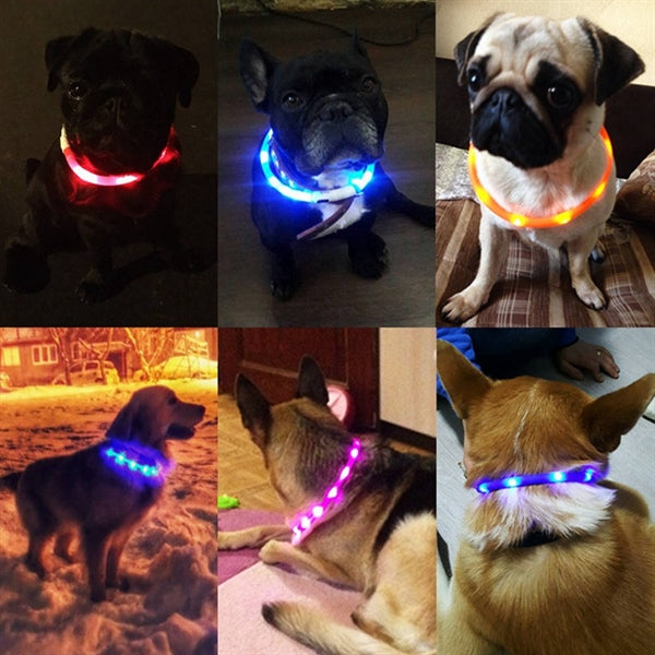 Puppy LED Collar Leash