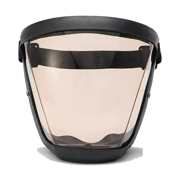 Full Face Mask