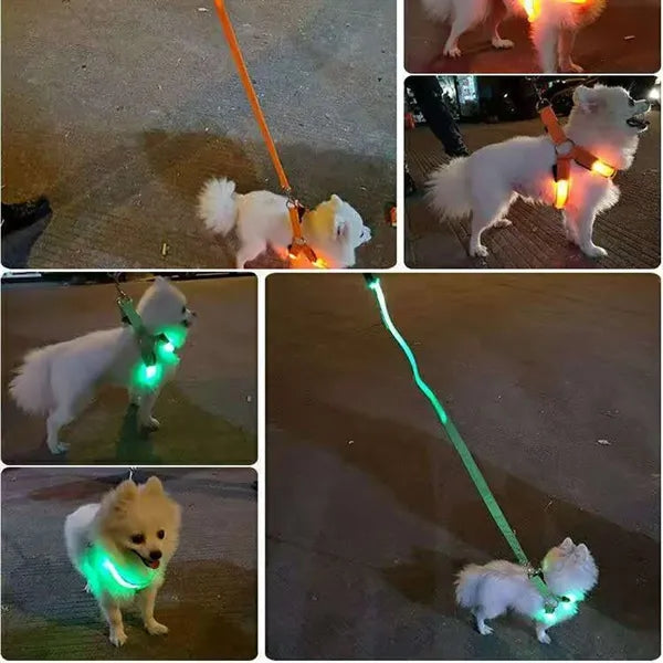 LED Lighted Dog Harness for Medium Large Dogs and Pets
