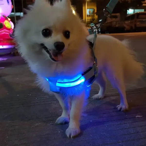 LED Lighted Dog Harness for Medium Large Dogs and Pets