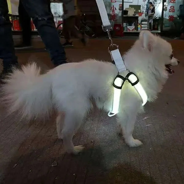 LED Lighted Dog Harness for Medium Large Dogs and Pets