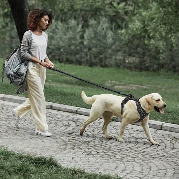 6-in-1 Reflective Dog Leash for Running and Training