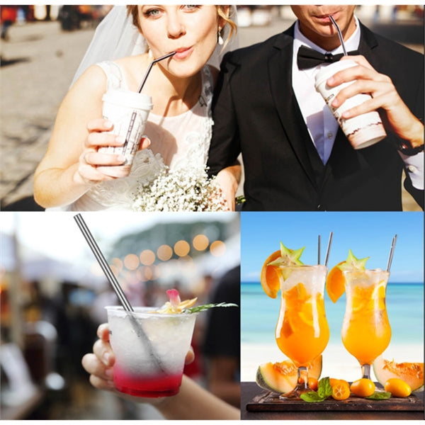 4 Pcs Stainless Steel Straw