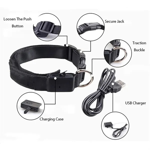 LED Dog Collar Rope