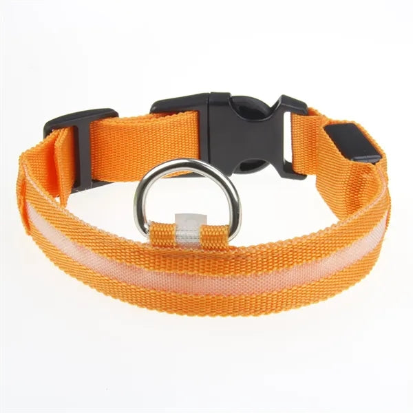 LED Dog Collar Rope