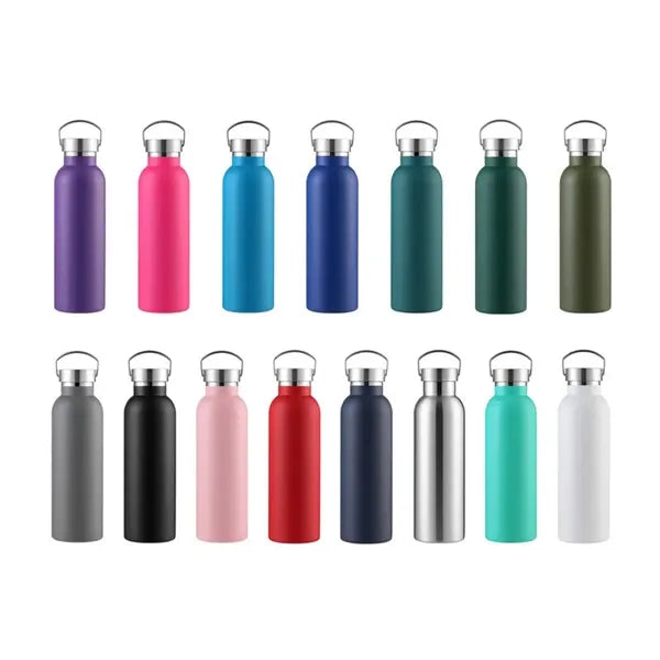 25oz insulated stainless steel water bottle w/Handle on Lid
