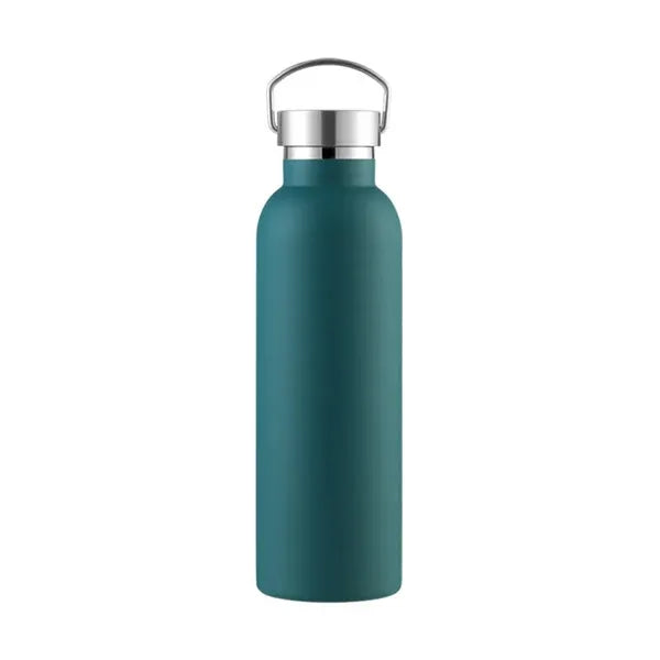 25oz insulated stainless steel water bottle w/Handle on Lid