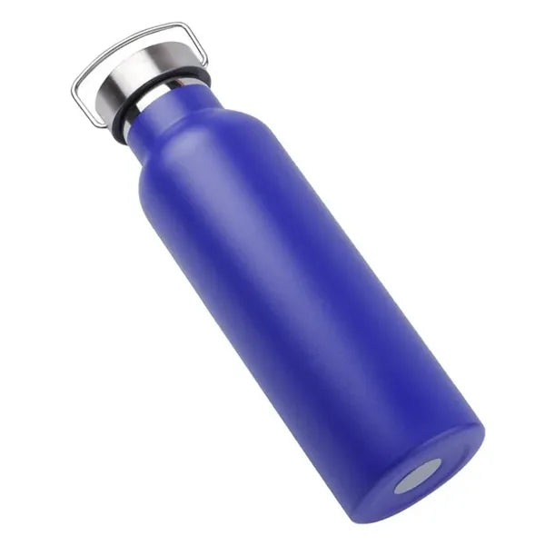 25oz insulated stainless steel water bottle w/Handle on Lid
