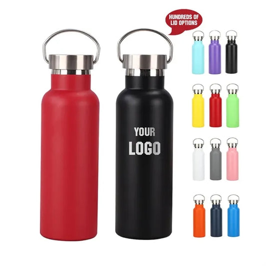 25oz insulated stainless steel water bottle w/Handle on Lid