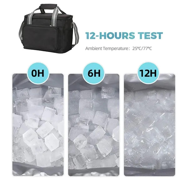 Insulated Lunch Bag Large Capacity Portable Cooler Tote