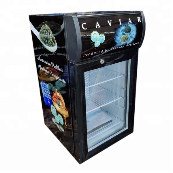 21 Liter mini counter beverage Cooler with light box