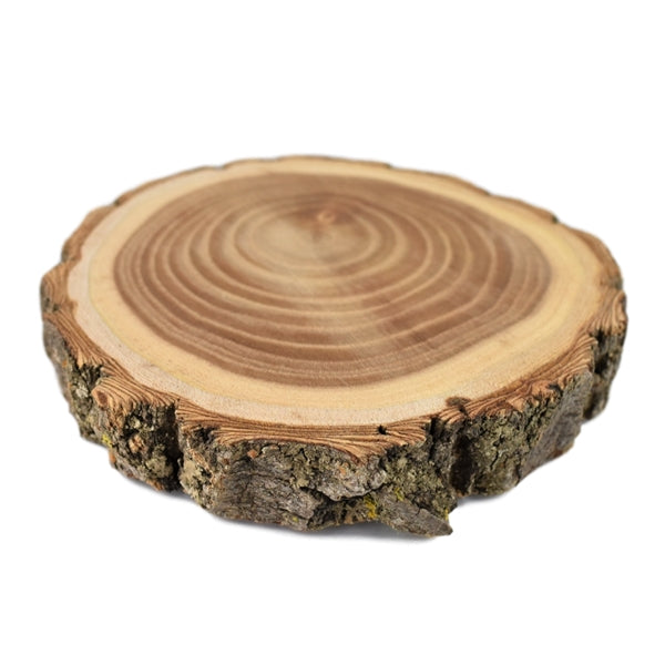 Natural Wood Log Coaster