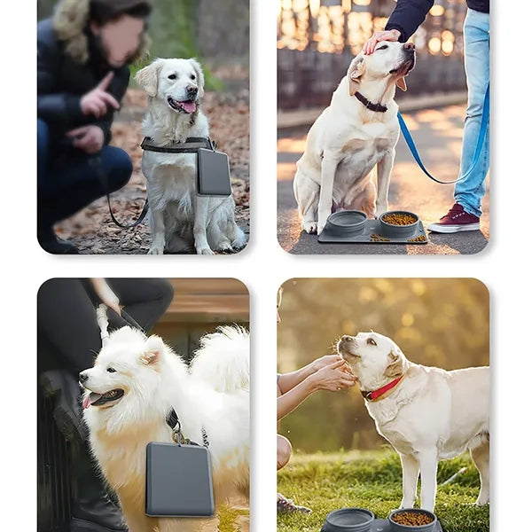 Collapsible Silicone Double Dog Bowl Travel